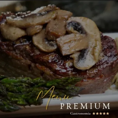 Apresentação do menu Premium da Star Fashion, imagem enviada pela empresa